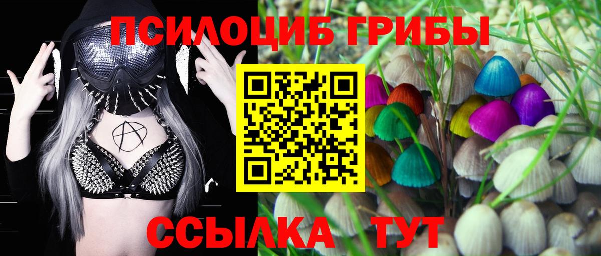 Калининград  Галлюциногенные грибы GOLDEN TEACHER  Вход с VPN 